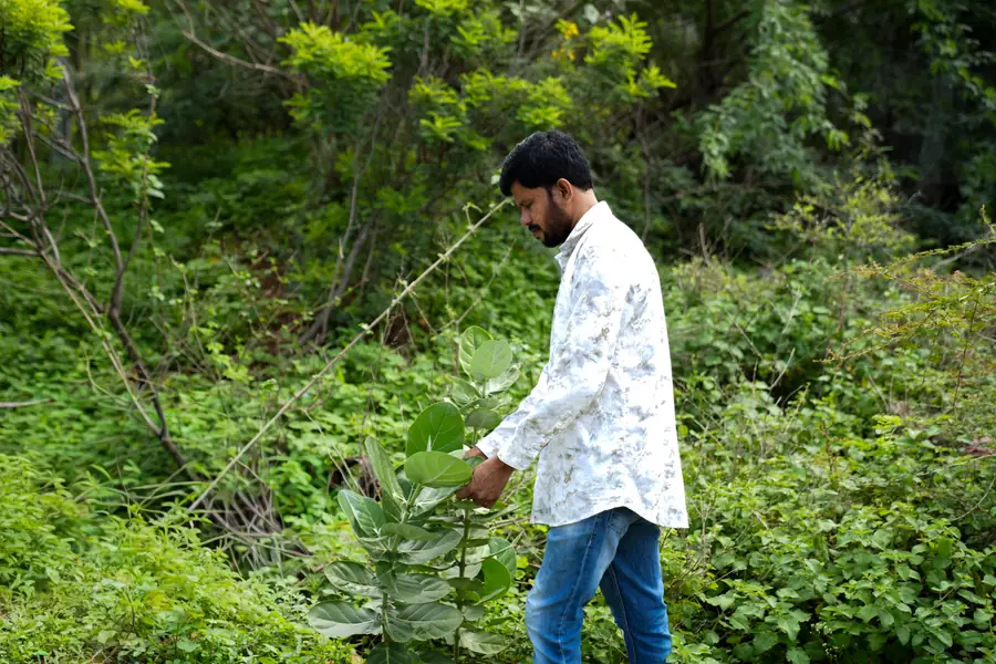 Dr. Krishna walking through dense green growth, holding a plant